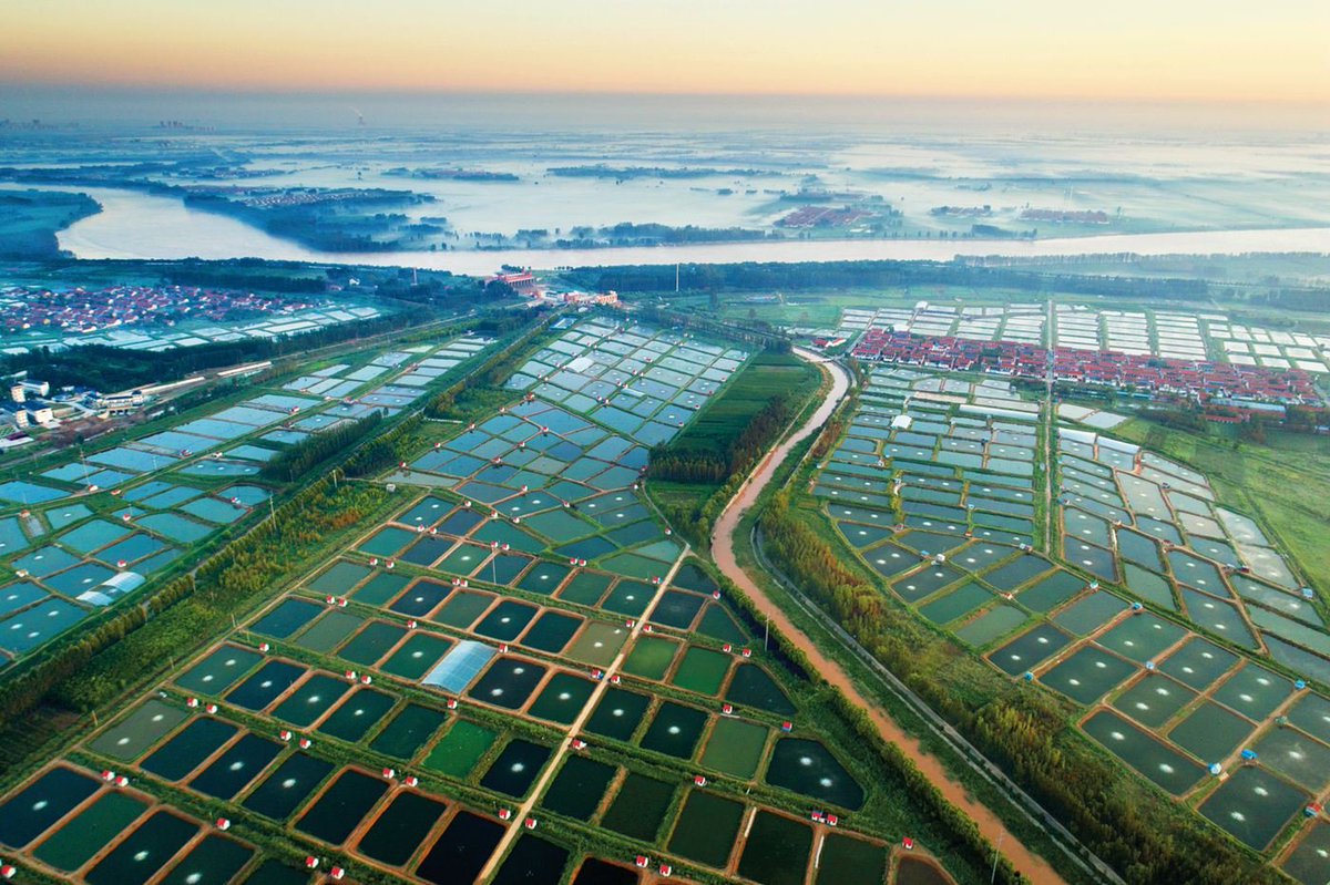 TouchShandong's tweet photo. Photos show the #ecological protection and high-quality development of the #YellowRiver Basin. #Shandong #Shandongimplement #Shandongstory https://t.co/eya6yoixkg