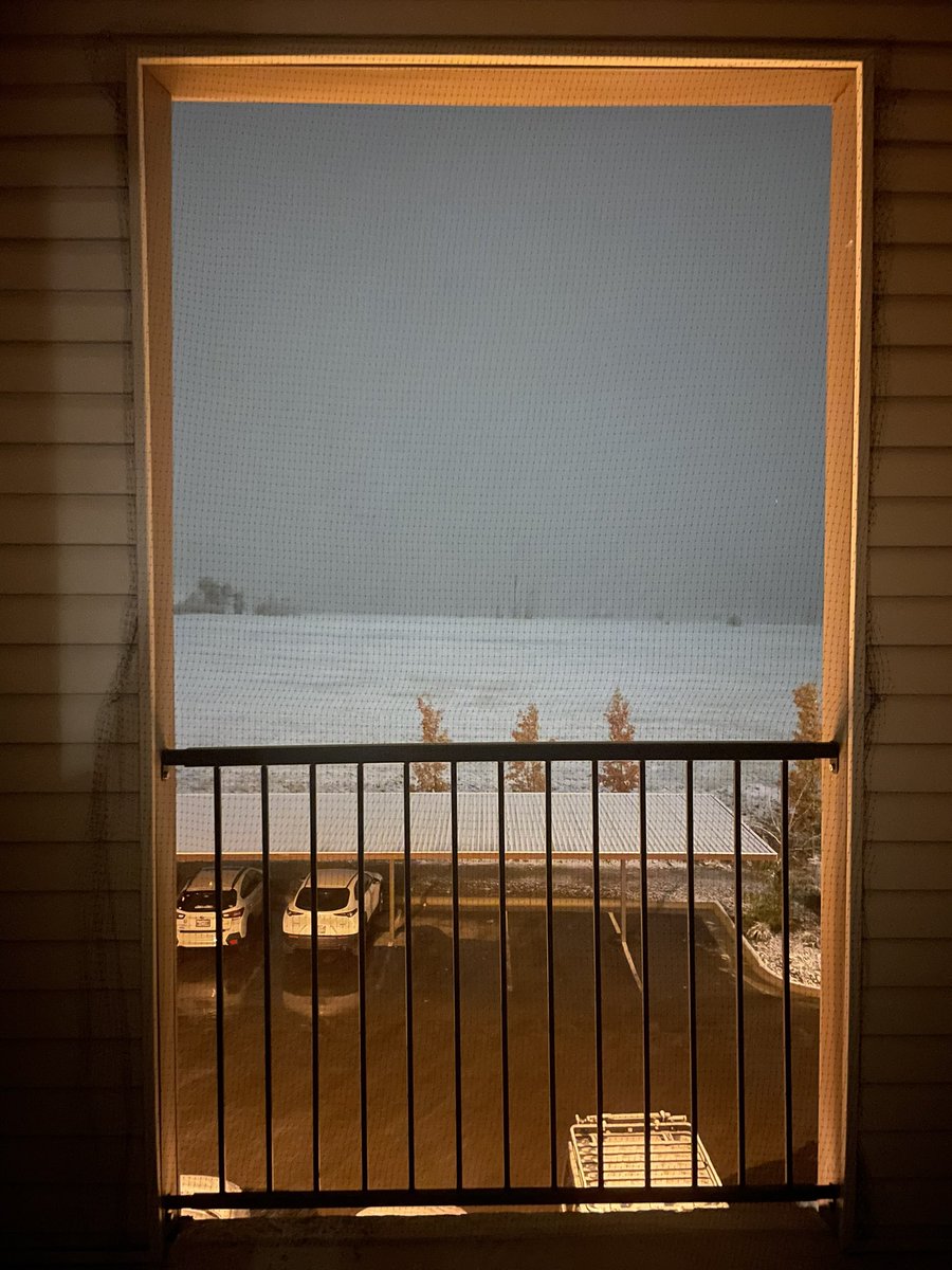 elongated.muskrat tweet media