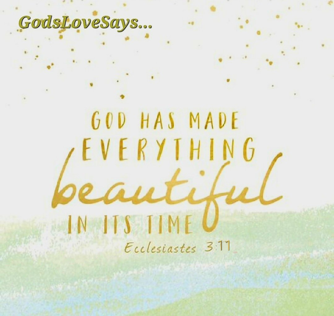 HornettPam's tweet photo. He has made everything beautiful in its time. He has also set eternity in the human heart; yet no one can fathom what God has done from beginning to end.
🌺💞
Ecclesiastes 3:11
#GodsLoveSays #Ecclesiastes #beautiful #time #eternity #human #heart #fathom #God #hasdone #beginning https://t.co/PNBeHqIcWh