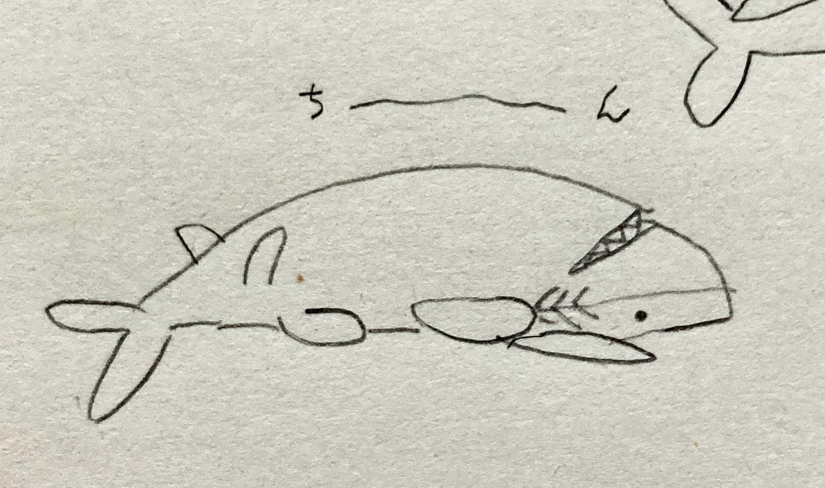 🌈 いつでも1番近くにいるヨ...🦈   hhjrさんらくがきセット 