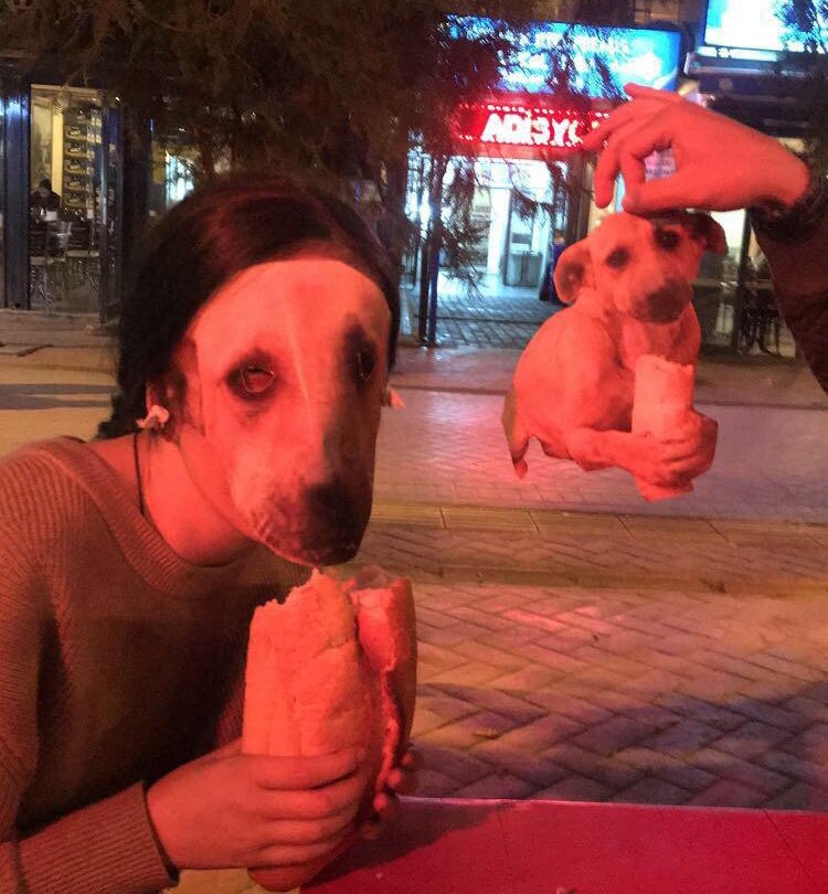 Tartışmasız en güzel Halloween kostümü