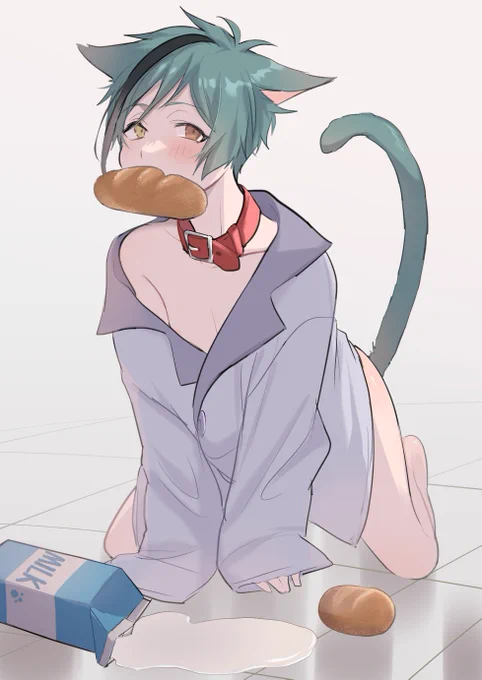 ふよねこと朝ごはん 