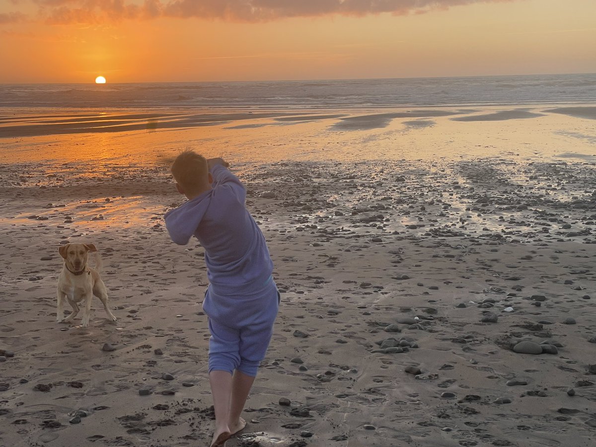KRobbo9's tweet photo. Poor dog not willing to accept that his fielding service is no longer required 🐶 https://t.co/NExzzcMB2A