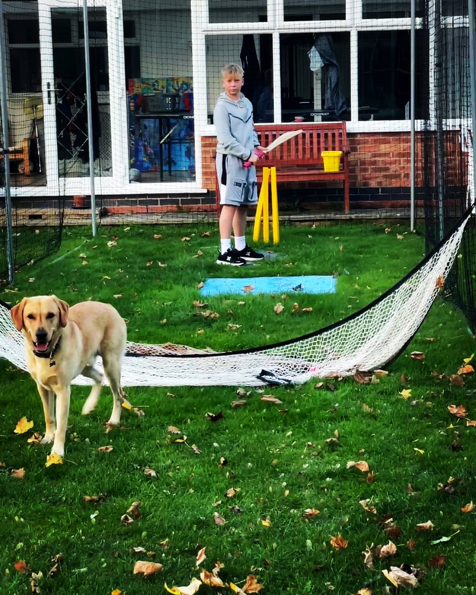 KRobbo9's tweet photo. Poor dog not willing to accept that his fielding service is no longer required 🐶 https://t.co/NExzzcMB2A