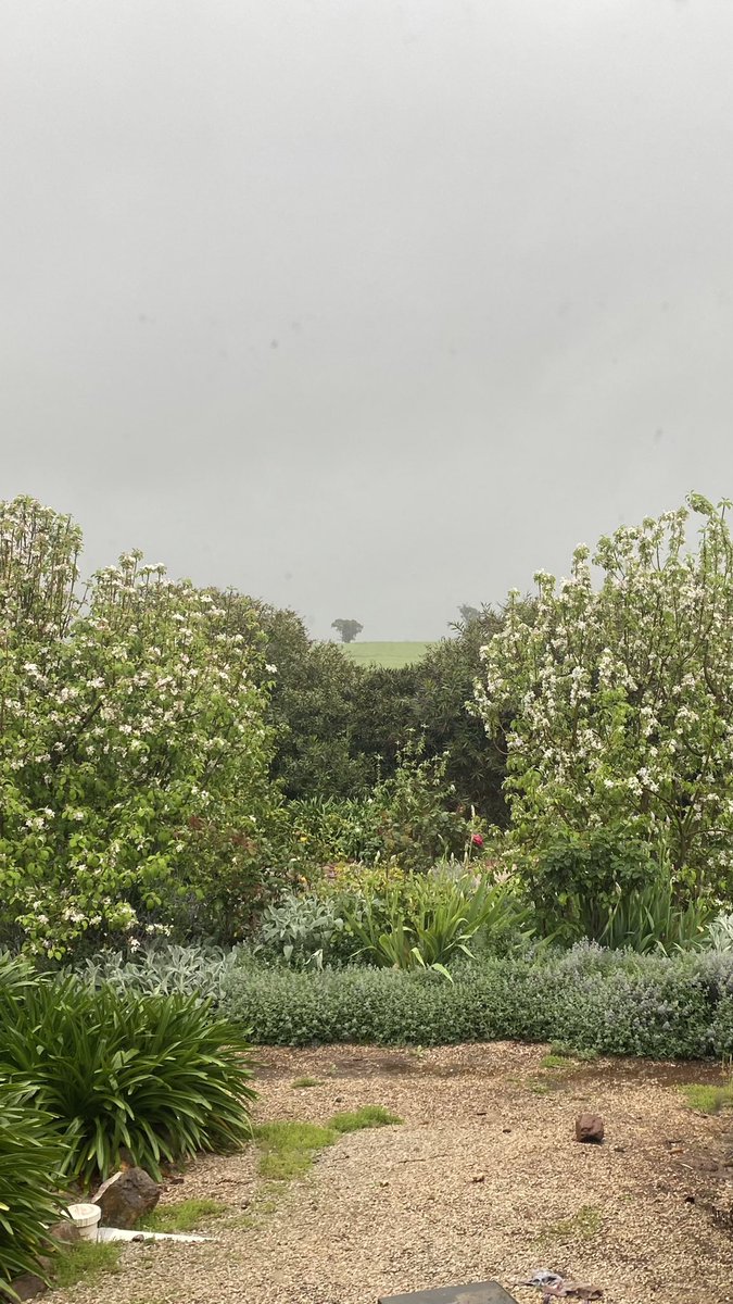 Jarred Tilley tweet media