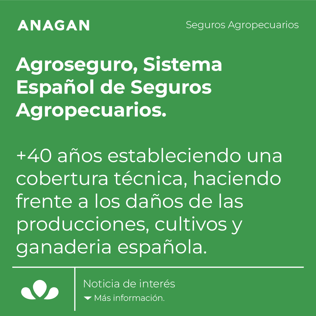 ▷ ¿Donde consultar las noticias agrícolas más actuales?

⬇ Continúa la noticia en nuestro blog.
🌐 Acceso en la bio.

#anagan #anaganseguros #anagancorreduriadeseguros #seguros #aseguradora #correduriadeseguros #agrario #agroseguro #agro #campo #agricultor