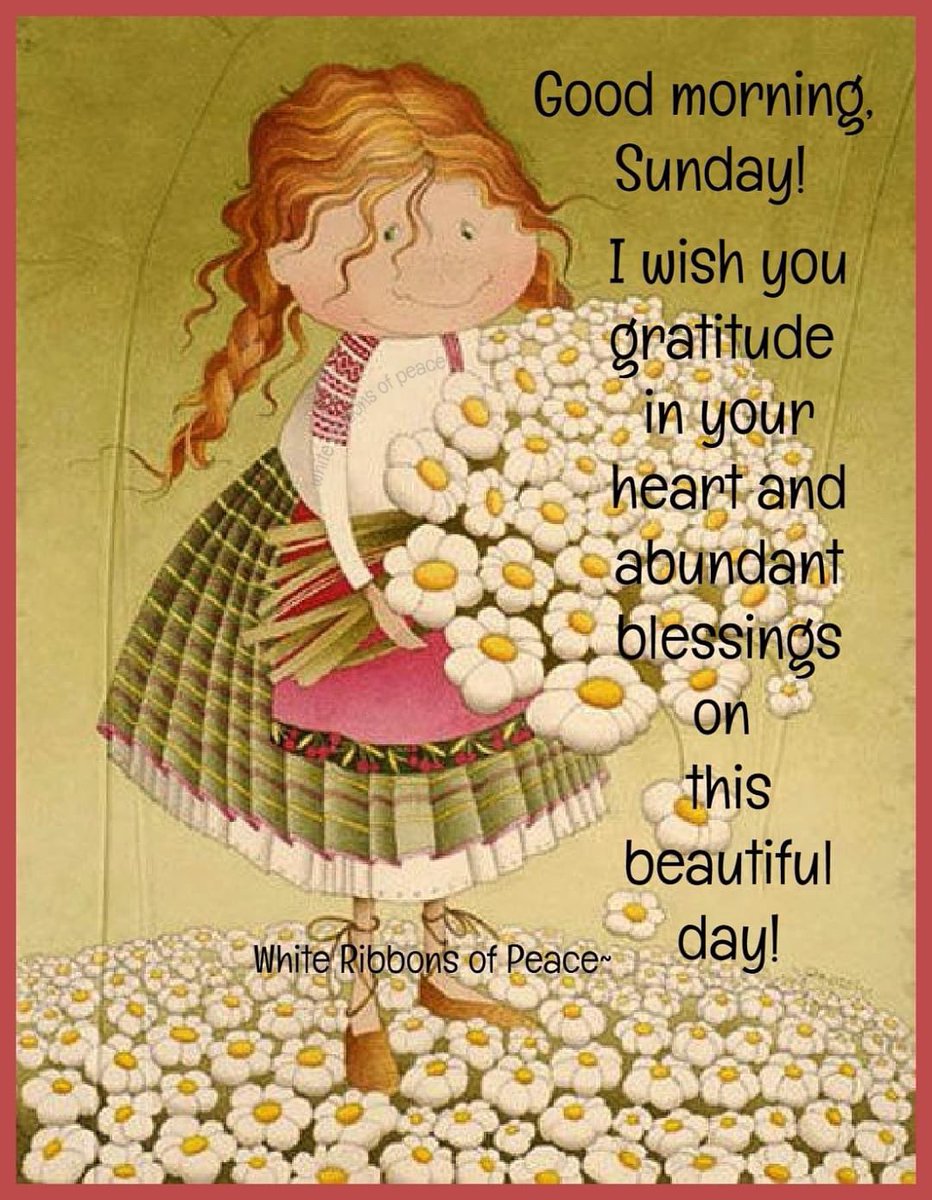 Al (@latif9al) on Twitter photo 