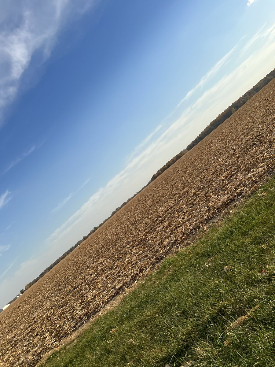 Wonderlanddsz's tweet photo. Was a beautiful day for a trip to the fall festival #fall #fallcolors #perfectday #familytime #festival #fallfestival #wonderlanddesignz #blueskies https://t.co/MoEAsksbXK