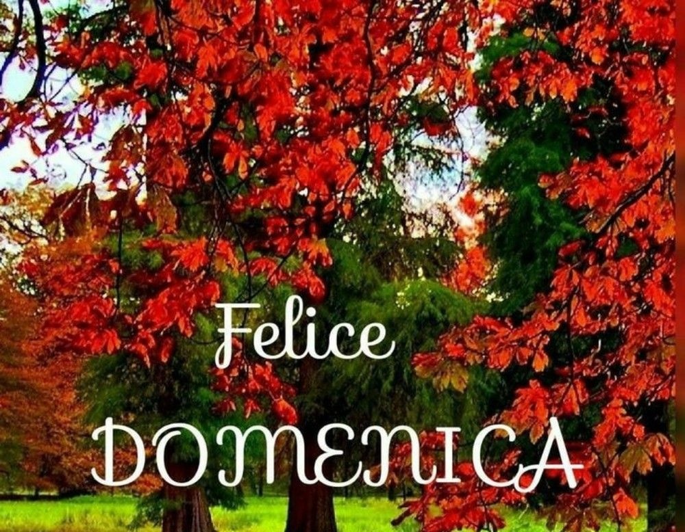 Si fa per ridere™ 😁 🇮🇹 tweet media