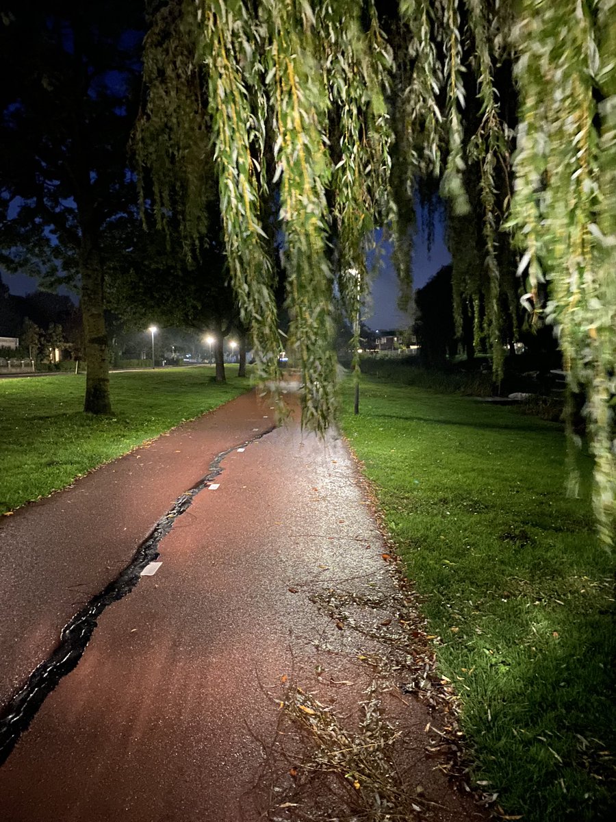 Hecirida's tweet photo. @almere ik wilde graag melding doen van overhangende takken op het Specerijpad tussen het Tuinkruidenpad en de Nootmuskaatbrug. Deze hangen verraderlijk laag en in donker slecht te zien. https://t.co/G3dHb9z45a
