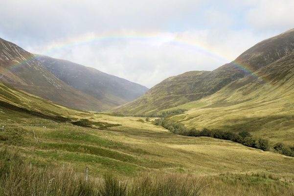 British Geological Survey tweet media