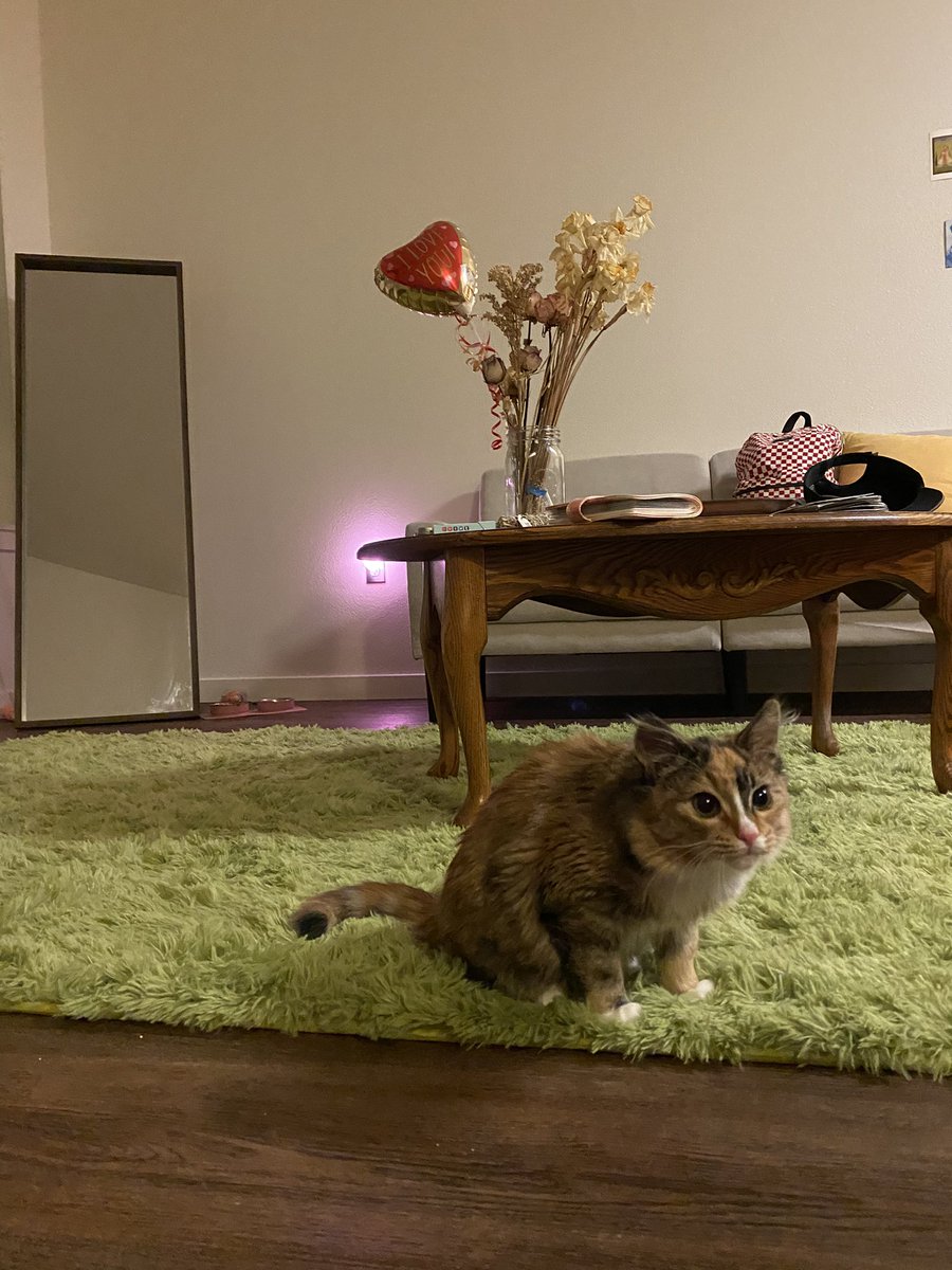 mari svel on Twitter "came back home after two weeks and i have a