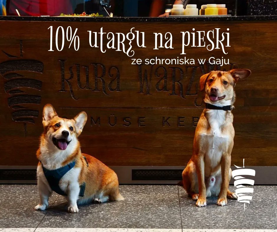 BARKING NEWS: We wtorek, 25 października, przekażemy 10% utargu z całego dnia w lokalu przy Wrocławskiej i Wilczaku w Poznaniu na karmę dla piesków ze Schroniska dla zwierząt w Gaju! 

Akcję polecają Gloria i Edward (były podopieczny Schroniska). 

🐔+🐶=❤