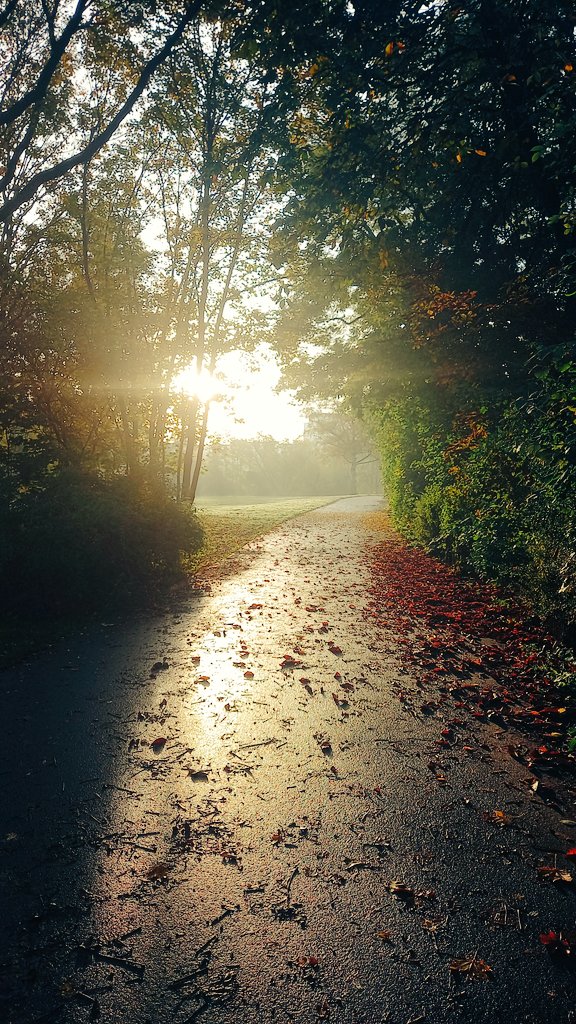 stereotecture's tweet photo. Oh my #teltowkanal, so motivating to go out for a run. With the relaxing guy Gerber in loop. #run #running #jogging https://t.co/UoeaijXMw4 https://t.co/EJ76qW6RwA