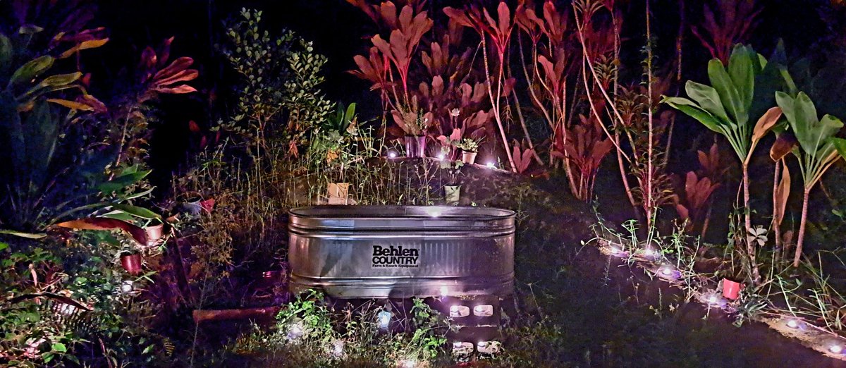 DissentFu's tweet photo. The world is fucked. I'm taking a bath.
#OrionidMeteorShower #wine #charcuterie #outdoors #diy #woodfired #hotsoaktub #hawaii #fuckoff #itsbathtime #resist #tomorrow https://t.co/x9Yjne4s5N