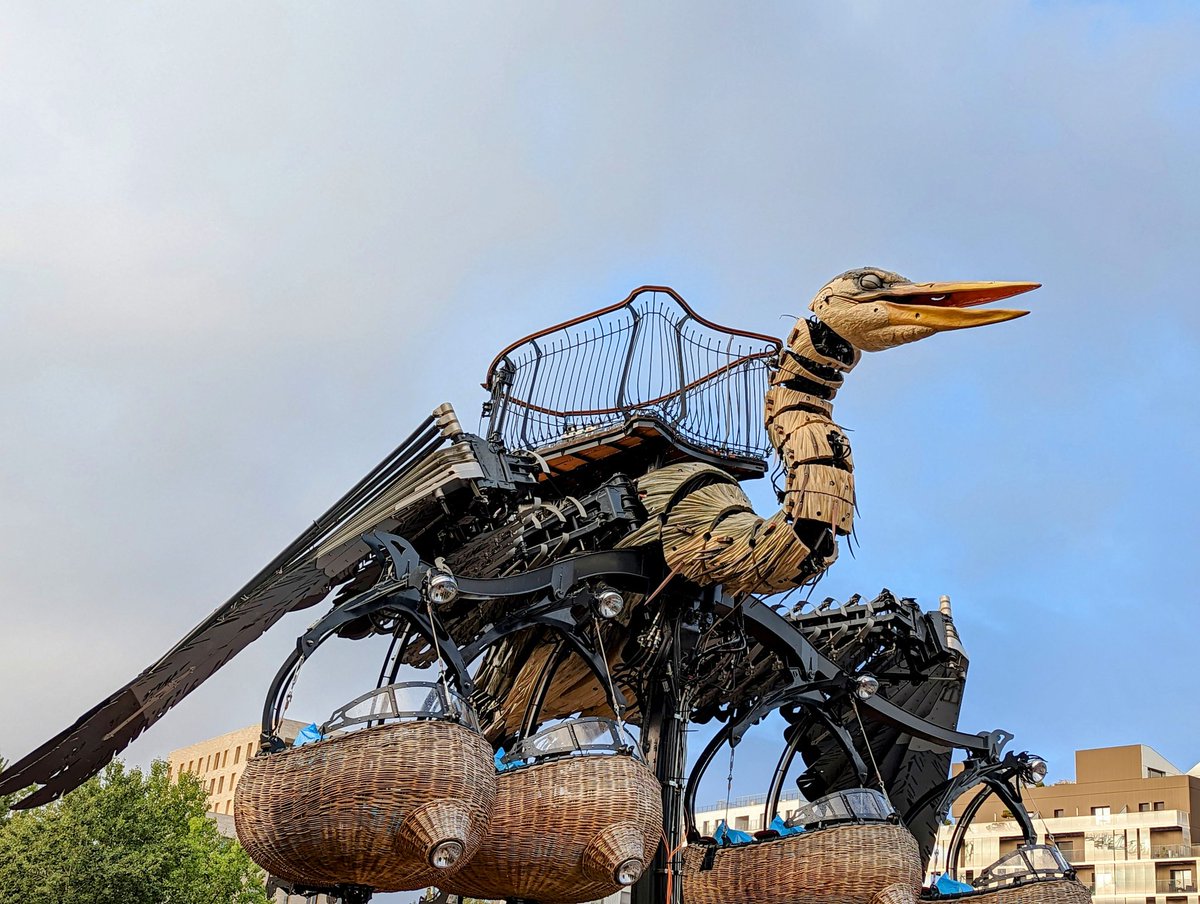 Bain de foule pour le premier vol du héron à <a href="/nantesfr/">Ville de Nantes</a>
ouest-france.fr/pays-de-la-loi…