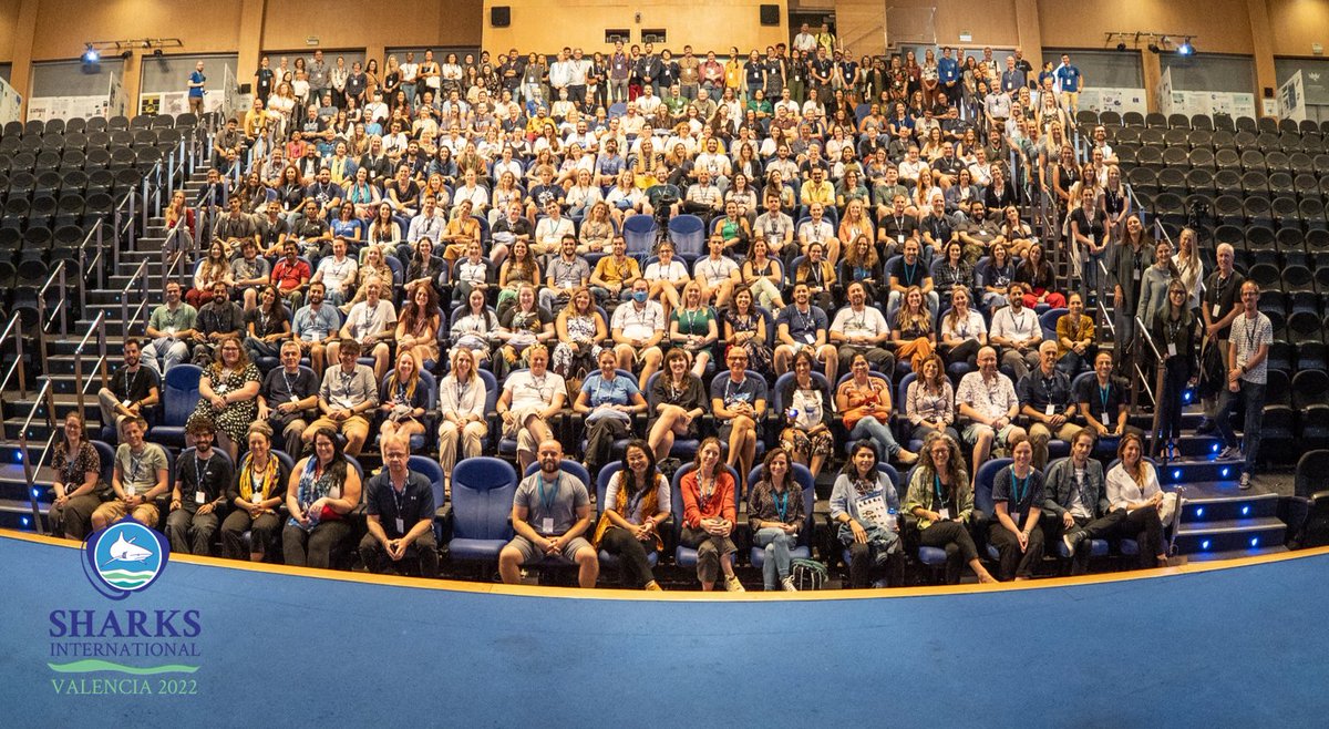 Sharks International tweet media