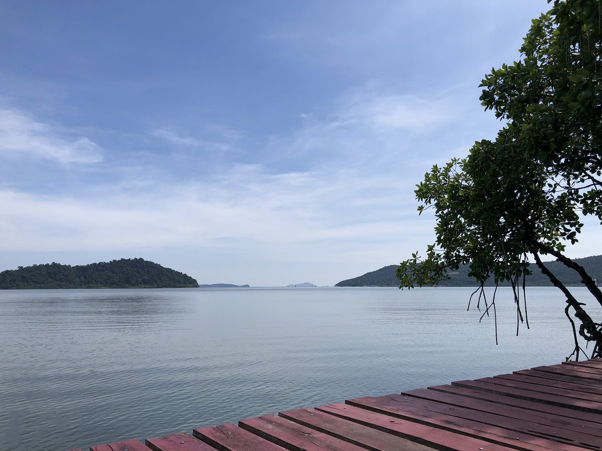 Mangrove forest on Chang is awesome 😍 #SalakPhet