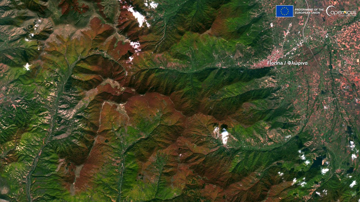 #EUForests are taking on spectacular colours 🍁 this autumn and the view from 786 km above 🛰️ is awesome 😍 

Fall colours 🍂 west of #Florina (#Φλώρινα), #Greece 🇬🇷 captured by our #Copernicus #Sentinel2 🇪🇺🛰️ on 20 October