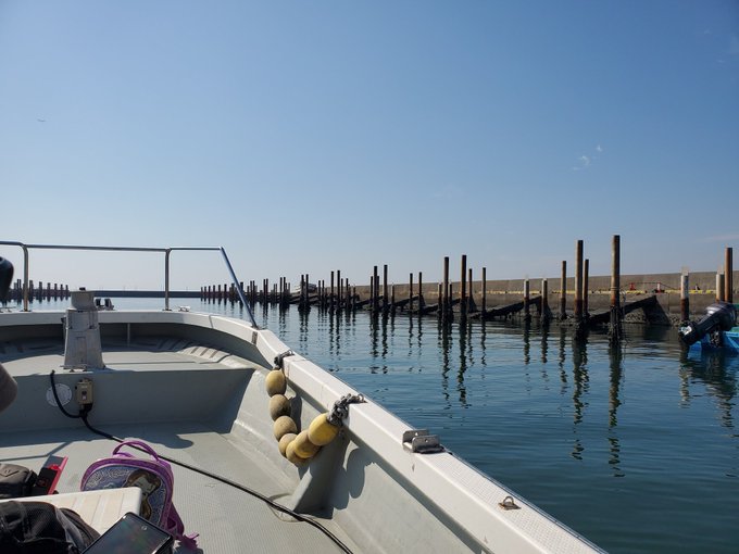 初めての船釣りでアクアライン下にイってきましたヽ( ・∀・)ノ

シーバス狙いでしたが釣果はコノシロ4匹でフィニッシュです!! 