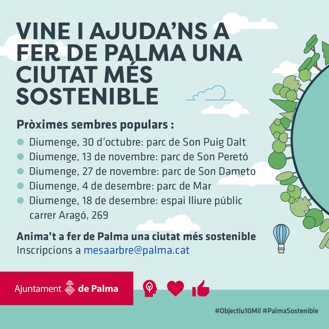 ajuntpalma's tweet photo. Primera sembra participativa de la temporada🌳

👥Hem sembrat 18 arbres: 5  tipuanes (tipuana tipu), 2  eritrines (Erythina caffra) , 5  delònix (Delonix regia) i 7 arbres de l’oli de ben (Moringa oleifera)

La setmana tenim més sembres programades 👇

#Objectiu10Mil https://t.co/1IGqGDs6Ge