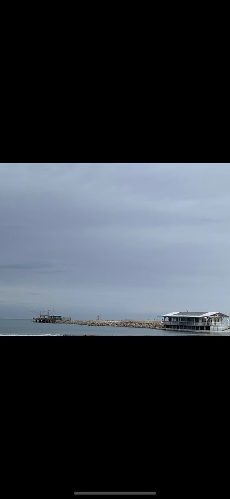 Daniel Polo Pardise tweet media