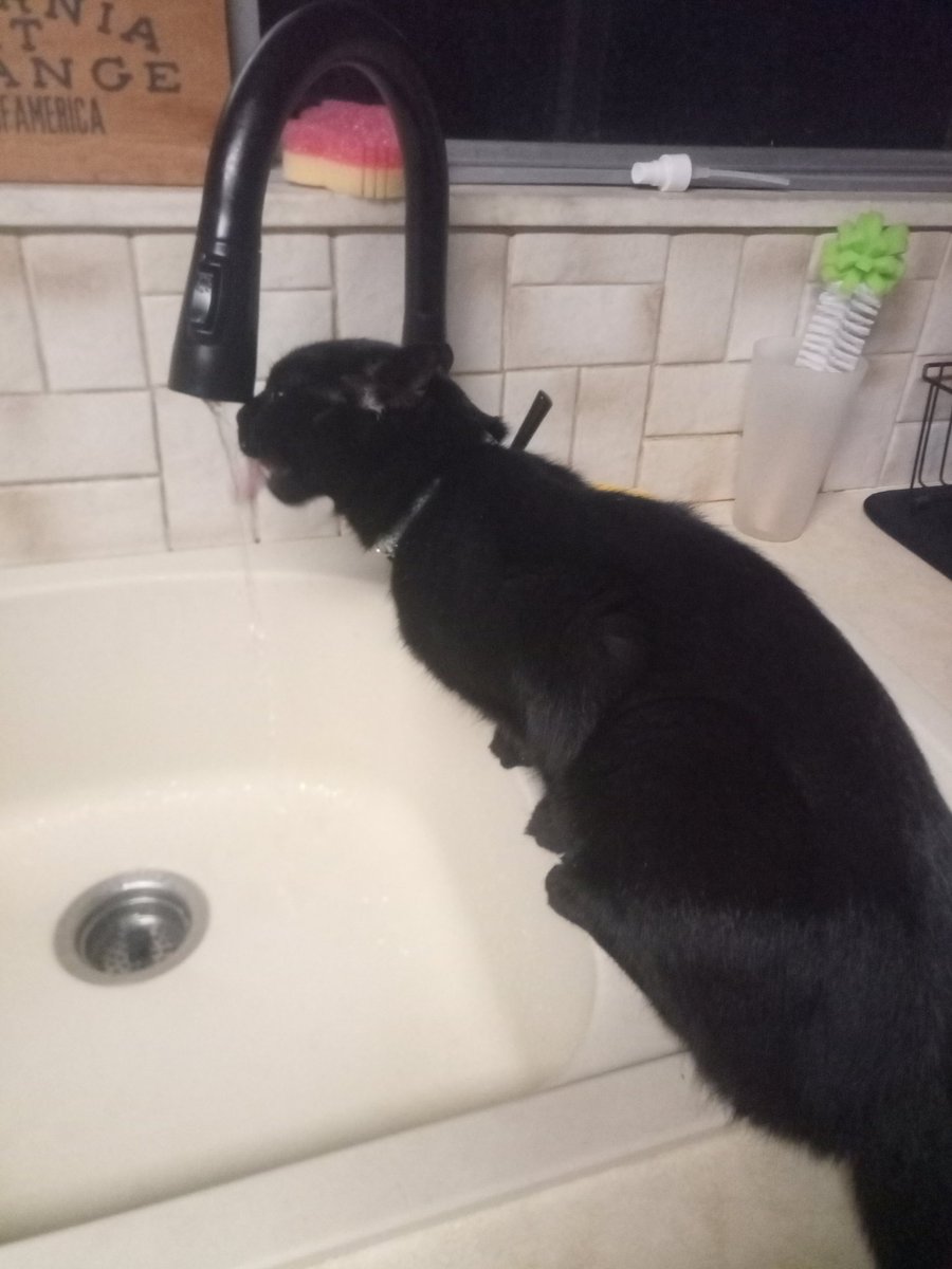 mysti 🤠 mole ΘΔ tweet media