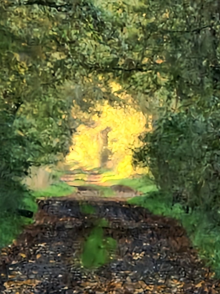 Der Herbst zaubert im Spreewald