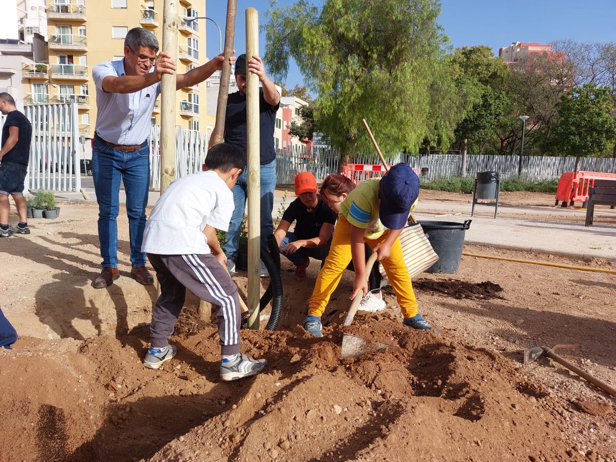 ajuntpalma's tweet photo. Primera sembra participativa de la temporada🌳

👥Hem sembrat 18 arbres: 5  tipuanes (tipuana tipu), 2  eritrines (Erythina caffra) , 5  delònix (Delonix regia) i 7 arbres de l’oli de ben (Moringa oleifera)

La setmana tenim més sembres programades 👇

#Objectiu10Mil https://t.co/1IGqGDs6Ge