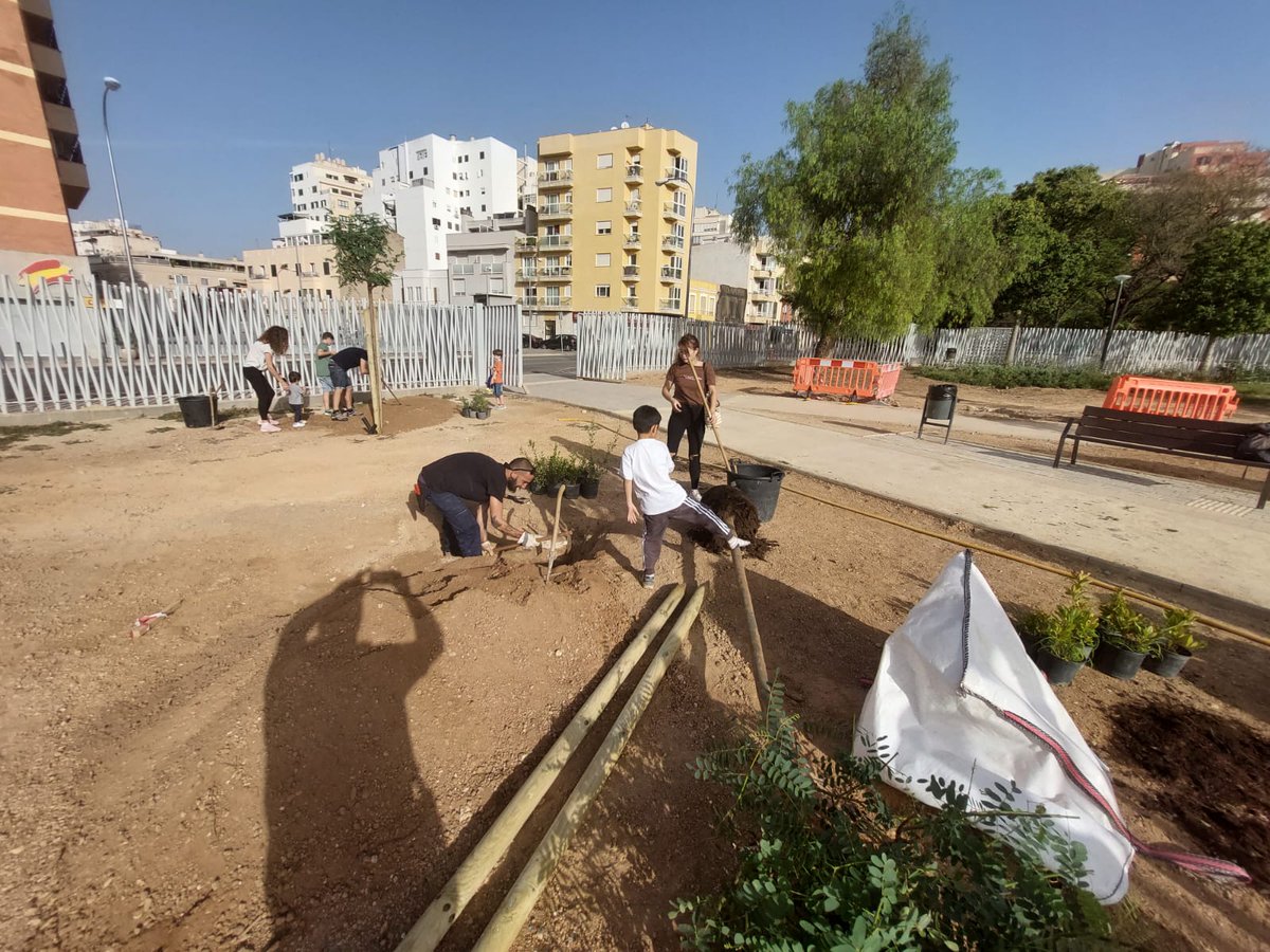 ajuntpalma's tweet photo. Primera sembra participativa de la temporada🌳

👥Hem sembrat 18 arbres: 5  tipuanes (tipuana tipu), 2  eritrines (Erythina caffra) , 5  delònix (Delonix regia) i 7 arbres de l’oli de ben (Moringa oleifera)

La setmana tenim més sembres programades 👇

#Objectiu10Mil https://t.co/1IGqGDs6Ge