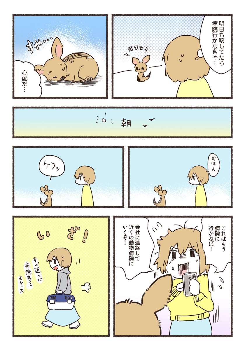 子犬をお迎えしたらすぐに風邪をひいた話🐶 