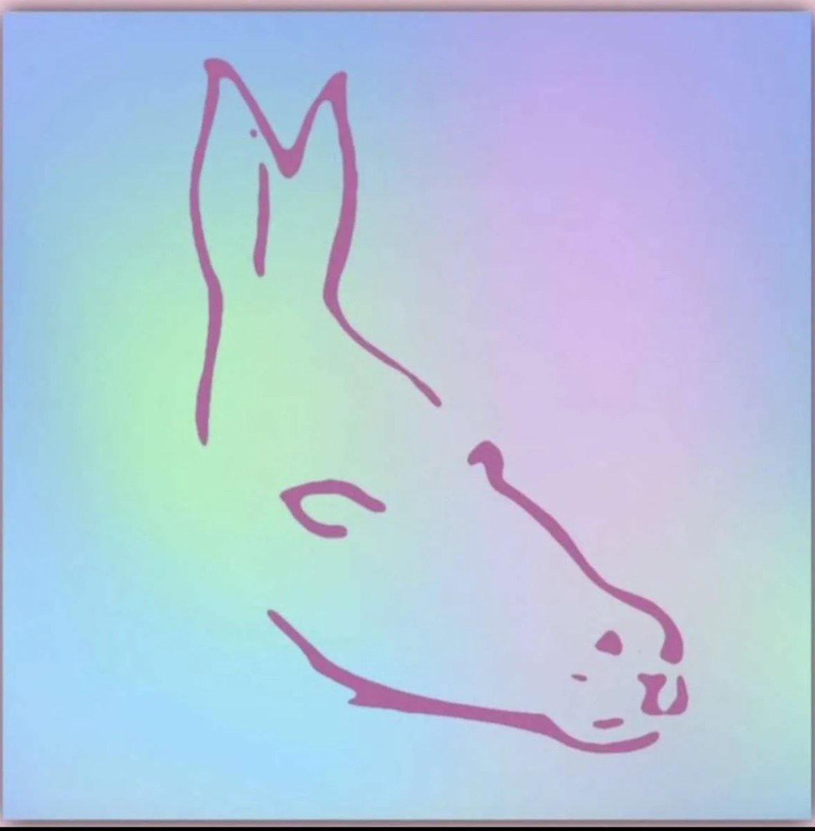 أيش تشوف في الصورة ؟ 🤔