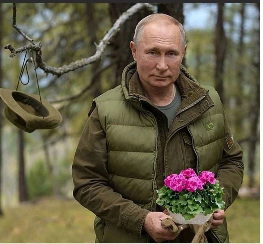 Наташа Иванова on Twitter: \"На западной Украине вместо имен Байрактар и ...