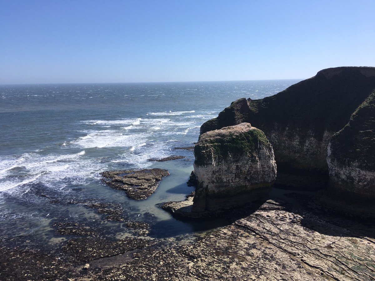 FloralRainbowAW's tweet photo. βEngland, bound in with the triumphant sea,
Whose rocky shore beats back the envious siege of watery Neptune, is now bound in with shame,β #KingRichardTheSecond #ShakespeareSunday
#FlamboroughHead #PortlandBill #HunmanbyGap https://t.co/s7eNsEyx2x