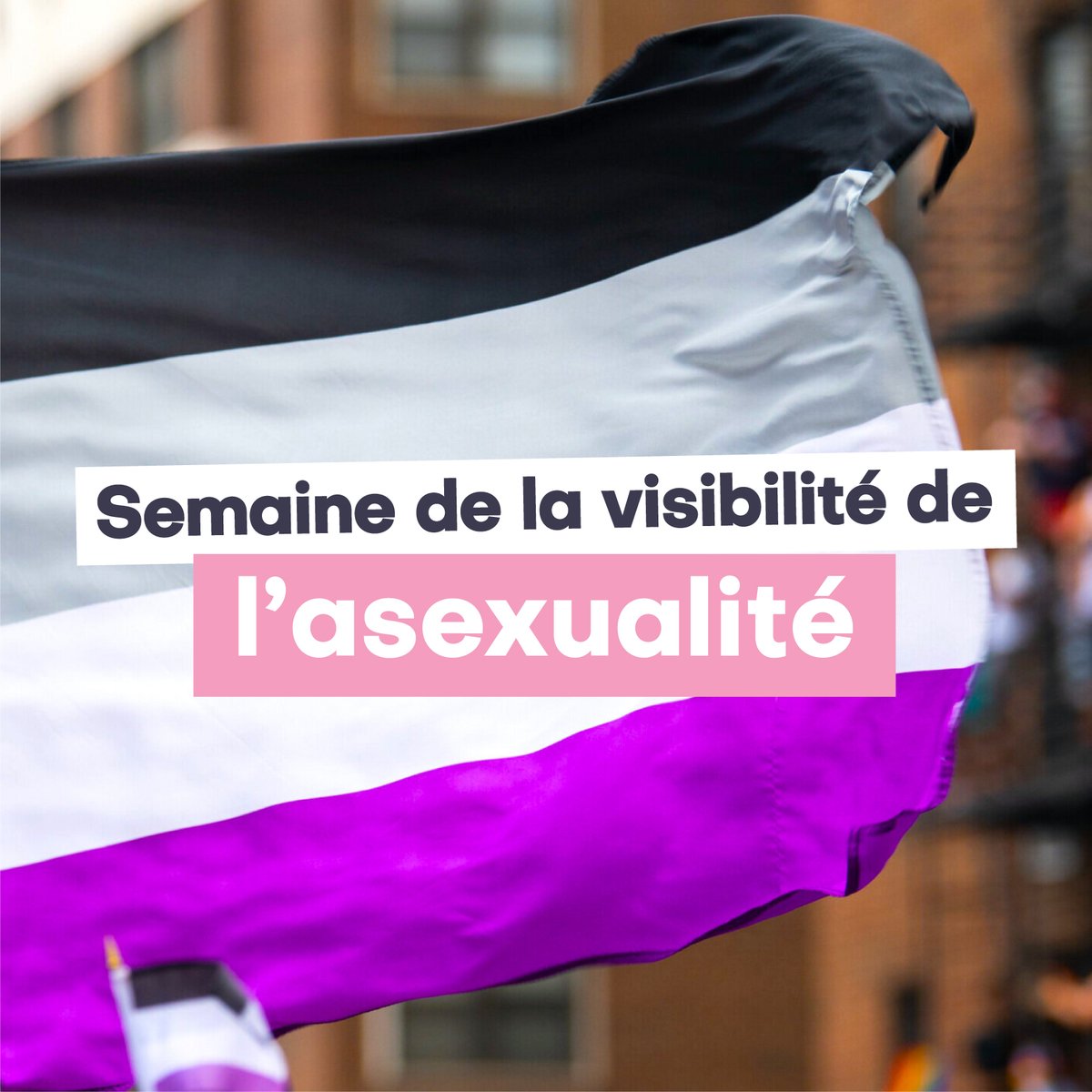 Bonne semaine de la visibilité asexuelle à toustes 💜
👉 Une personne asexuelle ne ressent pas (ou peu) d’attirance sexuelle.
👉 L’asexualité est une orientation sexuelle.
👉 Ce n’est pas une pathologie.
👉 L'important, c'est de se sentir bien dans sa (non)sexualité !
