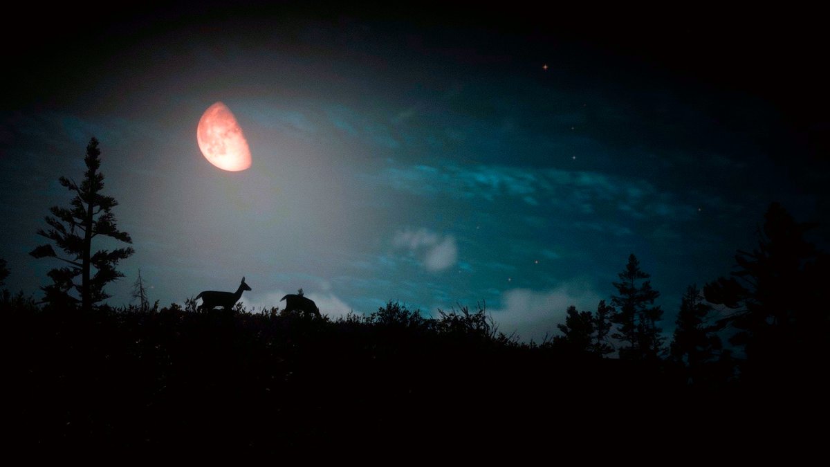 RedDeadEd (On Bluesky) tweet media