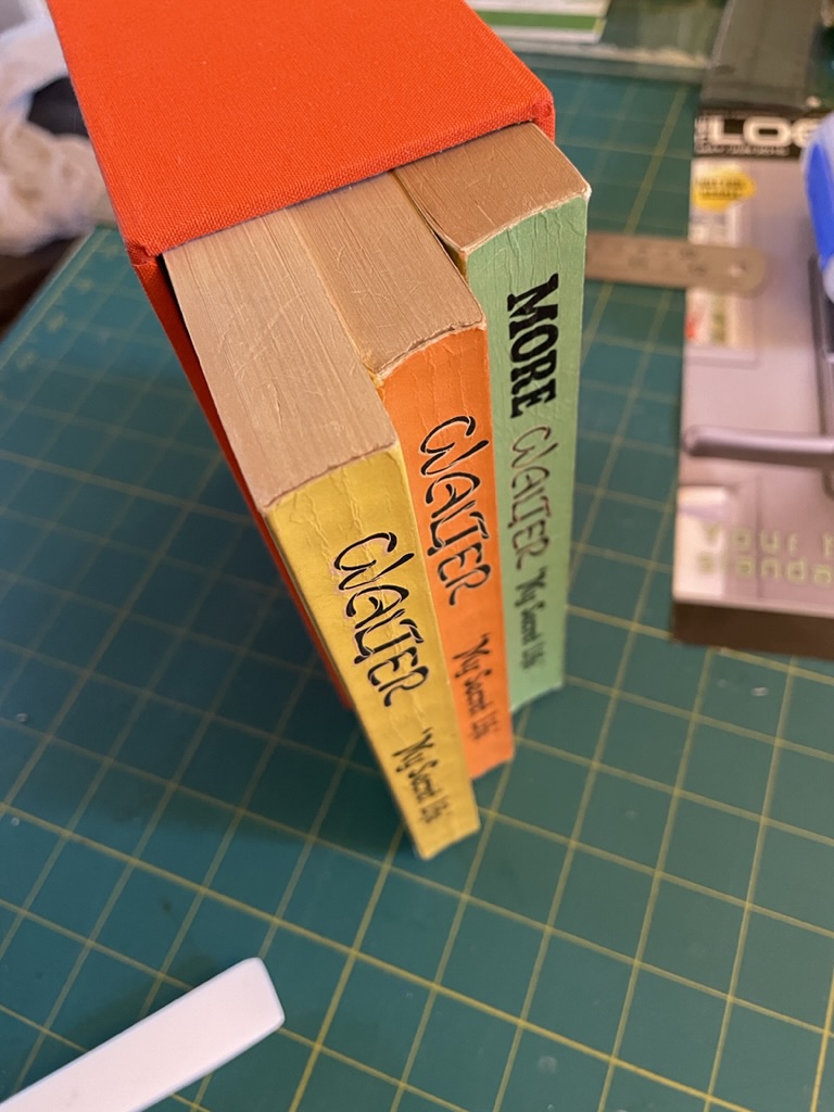 BlackClubBooks's tweet photo. @ArtOfSoulburn I tend to do a slipcase or protective box for all my important books ;) https://t.co/PWBAX0tT5P