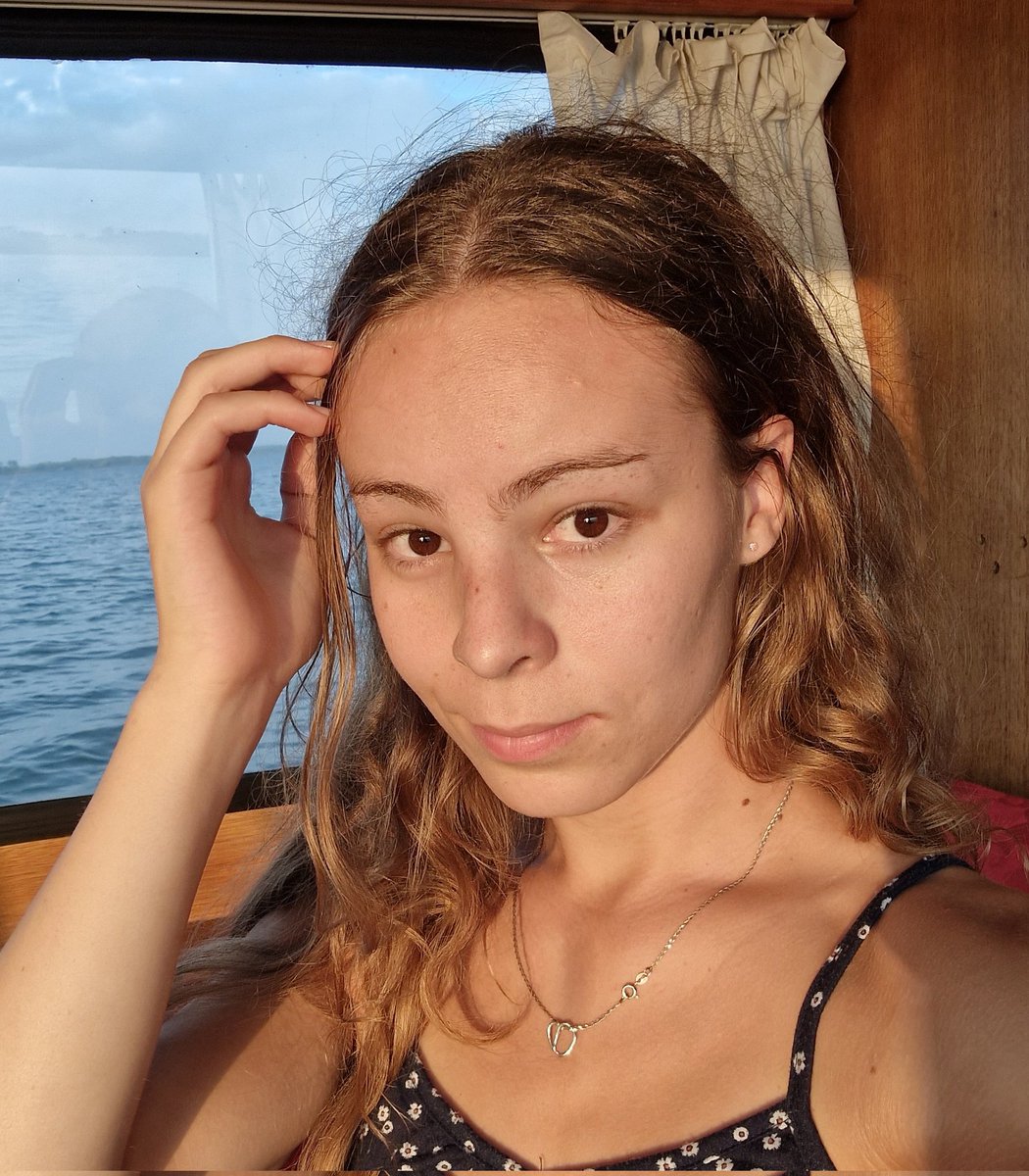 Lente ⛵ dev on a boat tweet media