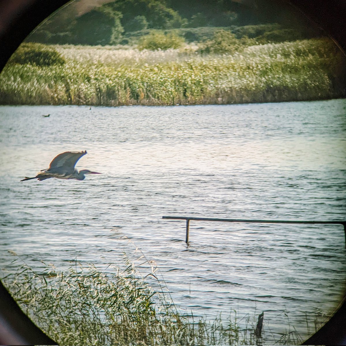 It's Topher Winward! ✌️ tweet media