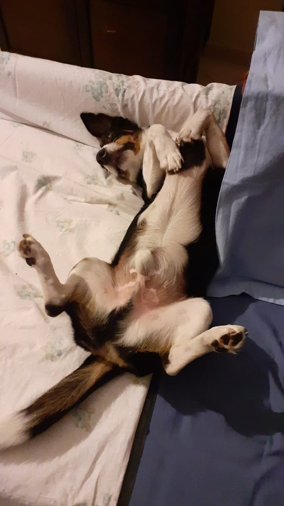 I “nonni” mi mandano gli aggiornamenti. La situazione sembra sotto controllo