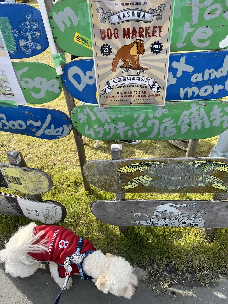mocomaru502's tweet photo. 笠間ドッグマーケット🐕に行ってきたよ🛹✨ https://t.co/Zf6KEqG6AL