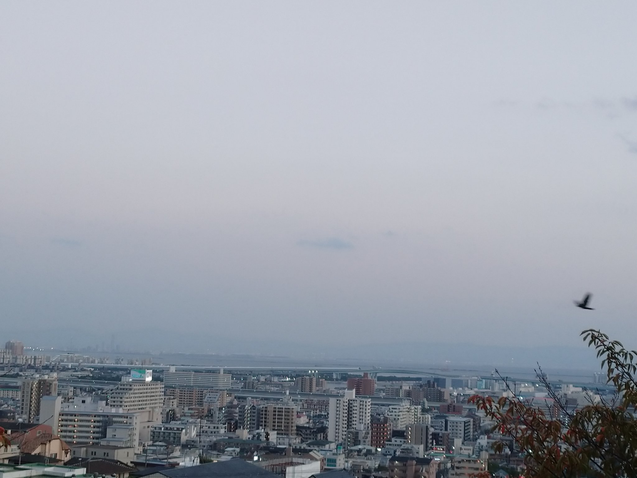 甲南女子大学 Twitter Search Twitter