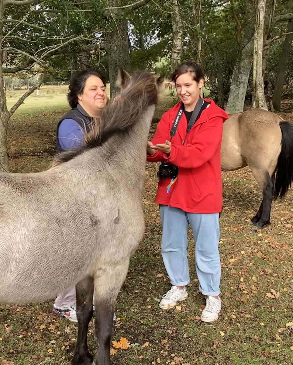 KarenDick's tweet photo. So yesterday we had a great walk in the #NewForest and introduced our Ukrainian friends to its beauty https://t.co/Elnz5bbl3K