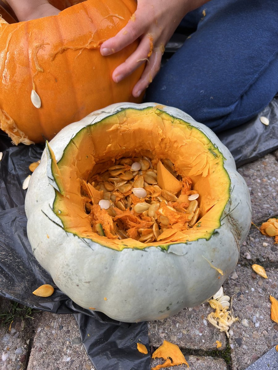 Love the autumn season and our annual pumpkin picking day out! 🎃