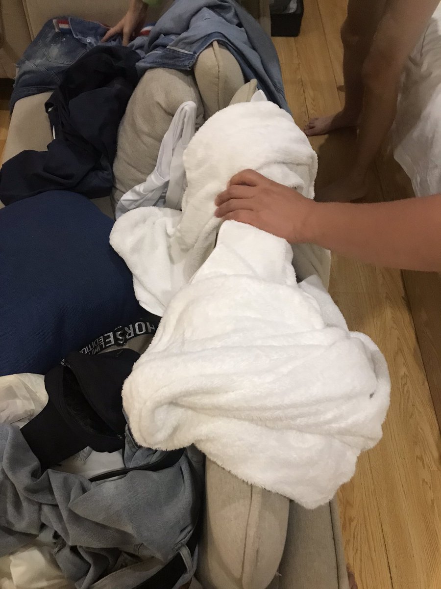 精亦求精 tweet media