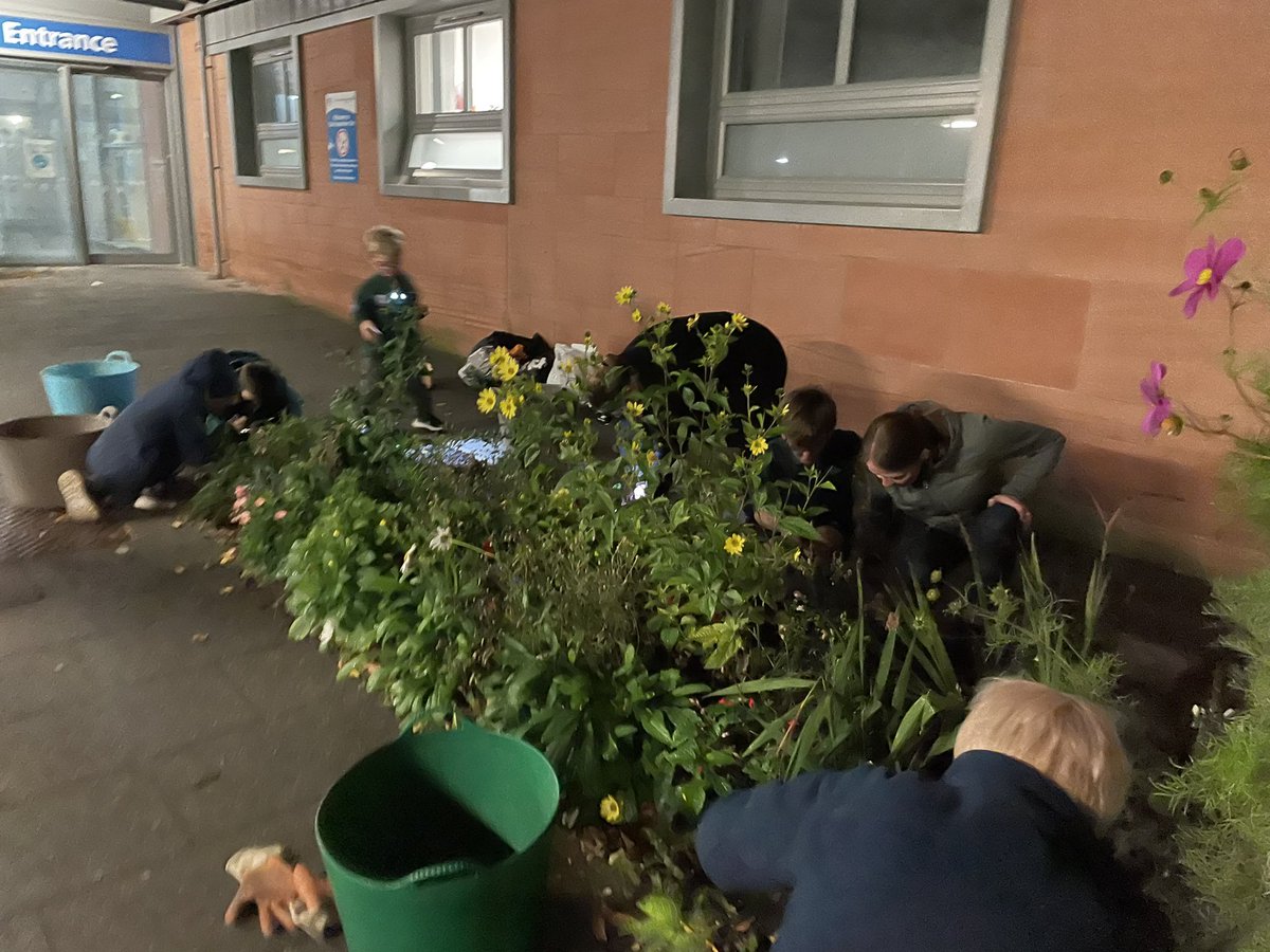 Sea3rd's tweet photo. Cubs also planted bulbs and winter bedding into our adopted border.  We installed a sign so people know it was us!  Hope you like it! @merseyweaver https://t.co/W7jFkmpNP8