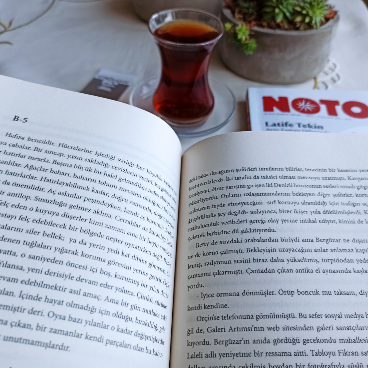 'Ağaçlar baharı, baharın tohum mevsimi olduğunu her bahar yeniden hatırlarlar. Hatırlayabilmek kadar,doğru zamanda, doğru şeyi hatırlamak da önemlidir.' #mertcankarakuş #yüzenküçükşeyler #kitap #ardiskitap #çay #pazar #ekim #sonbahar