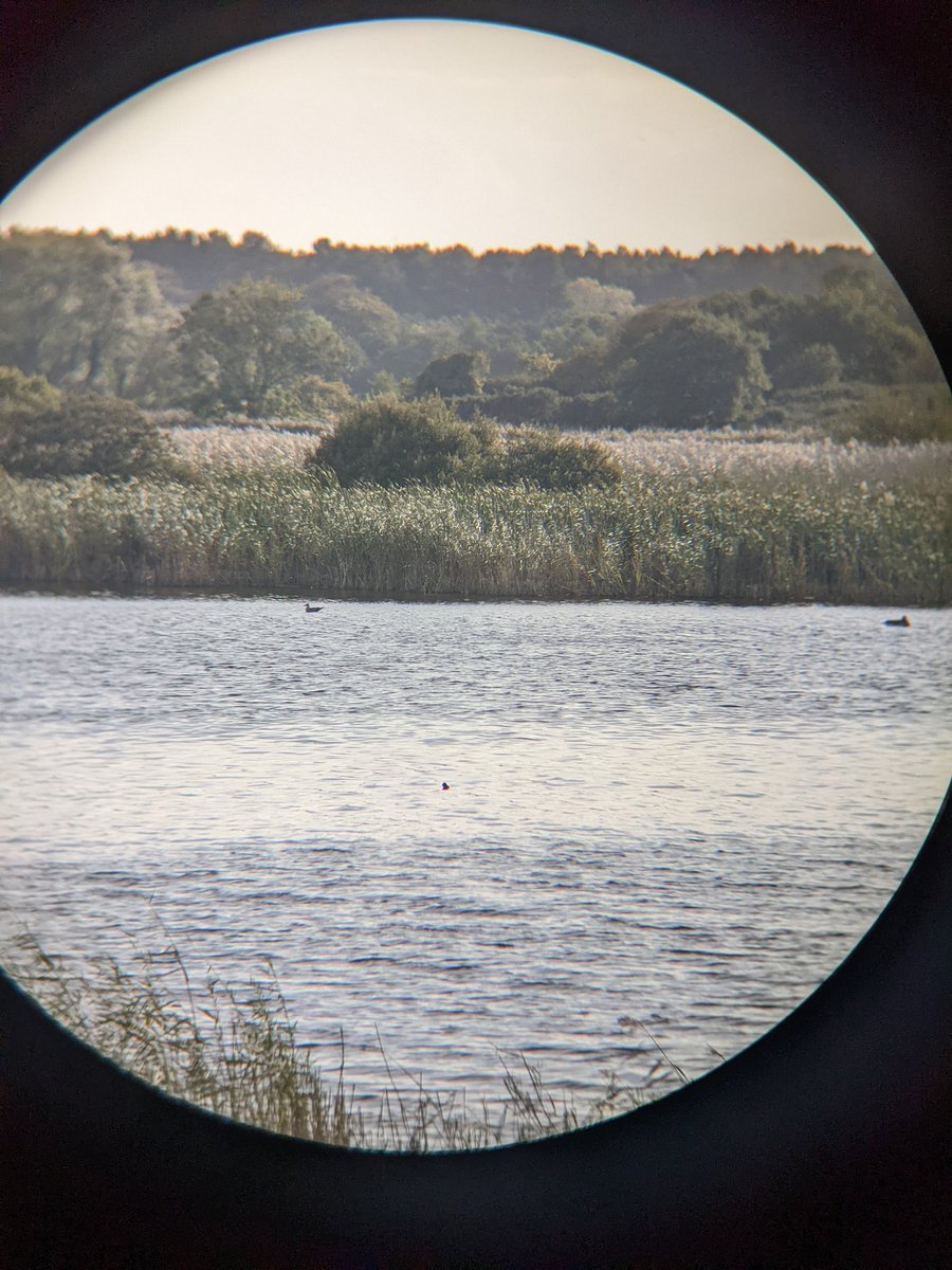 Jessica Baker 🌙✨ tweet media