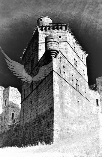 La porte de son château
a recommencé à s’ouvrir
elle avance doucement
elle s’invite
la touche de ses 2 mains
c'est un nouveau matin
ses mains
forment les ailes
celles de l’oiseau
il faut toucher l’anneau
aller de plus en plus haut
c’est elle
son monde
qui l’inonde

Autre monde