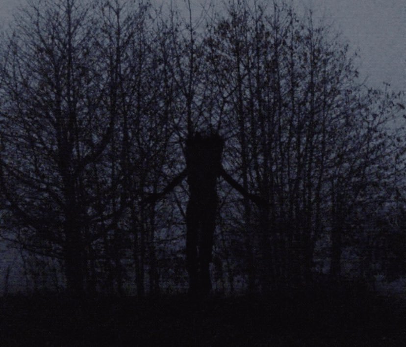 T.W. Burgess tweet media